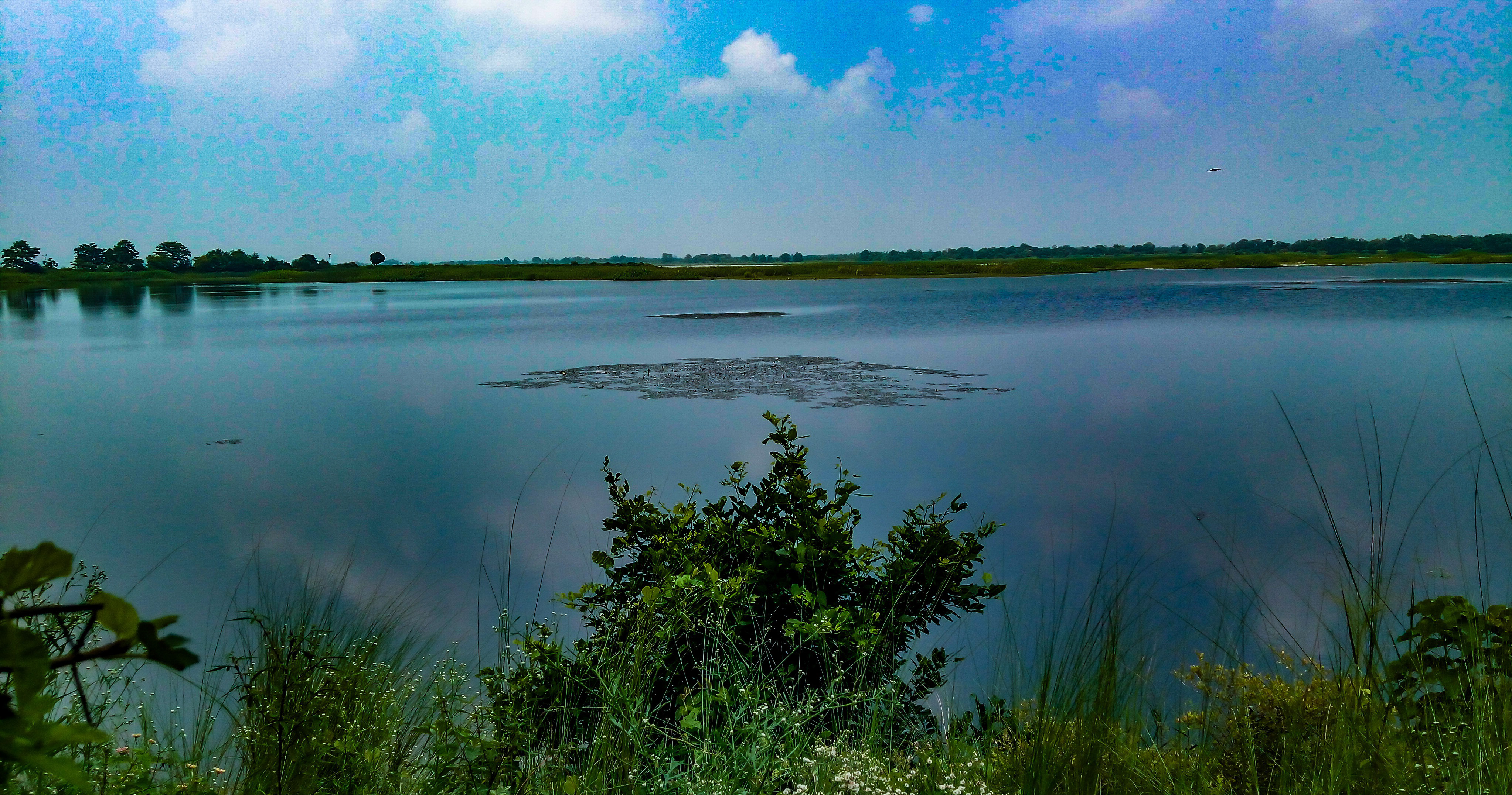 Haiderpur wetland